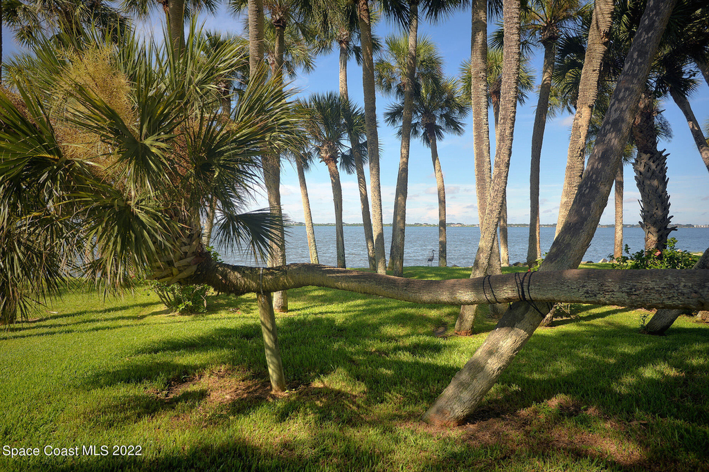 412 La Costa Street - Photo 10