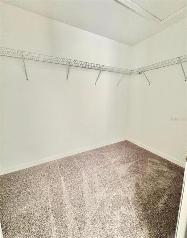 10321 Trumpet Honeysuckle Way - Photo 12