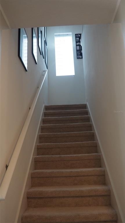 216 Denali Street - Photo 9