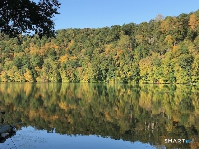 75 Lake Lillinonah Road - Photo 3