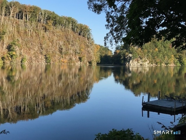75 Lake Lillinonah Road - Photo 2