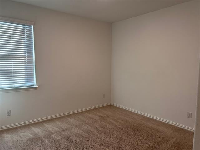 3204 Goose - Photo 5