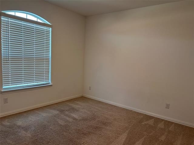 3204 Goose - Photo 9
