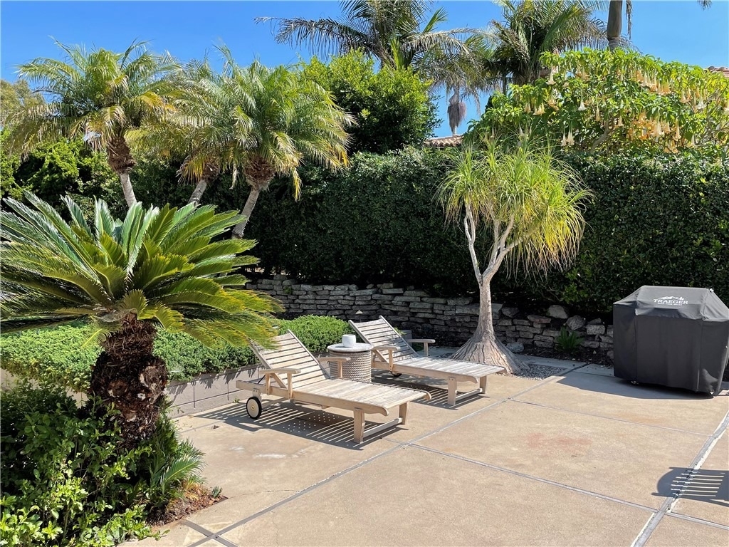10 Mar Vista - Photo 16