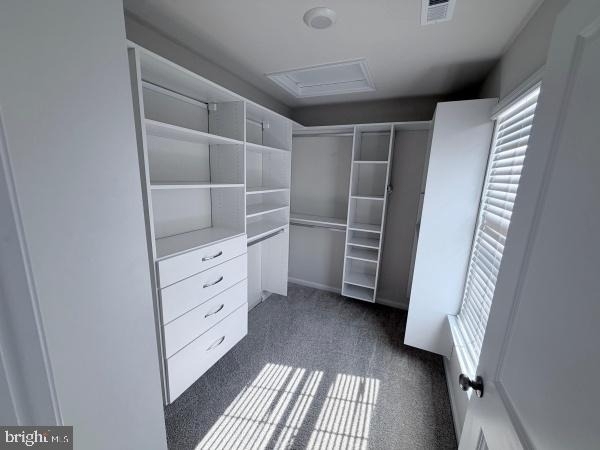 255 Maple Run Drive - Photo 5