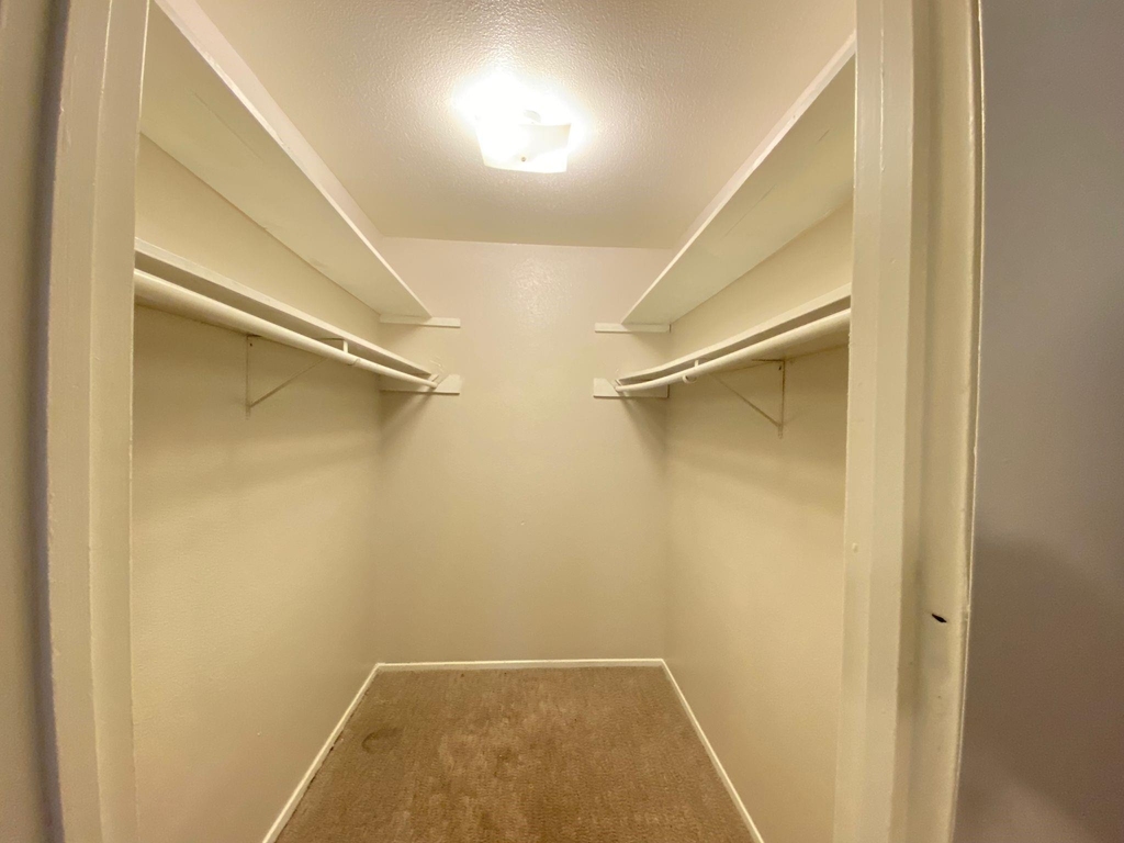 1004 Allena Drive - Photo 4