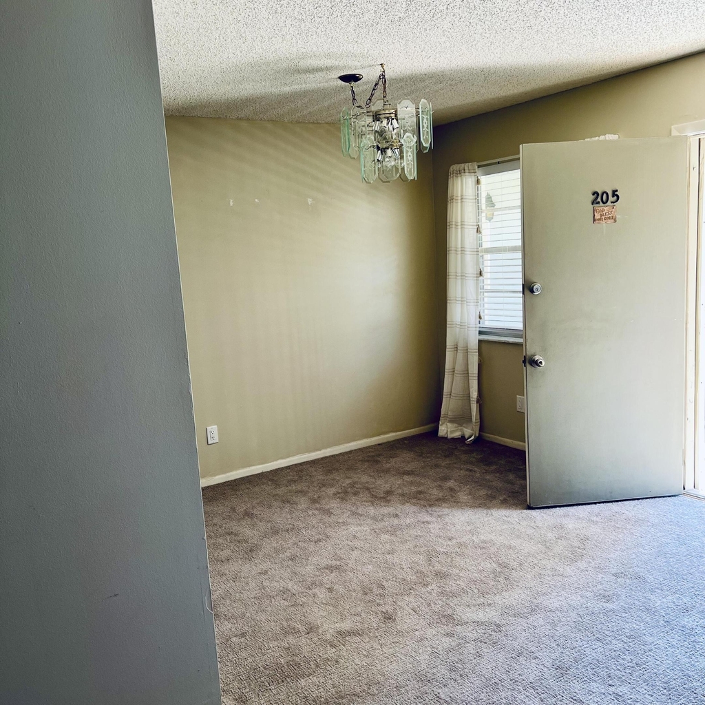 13 Lake Vista 205 Trail - Photo 1