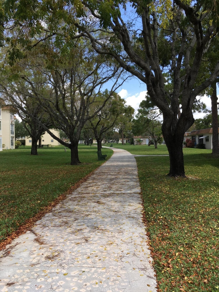 3123 Sw Natura Avenue - Photo 23