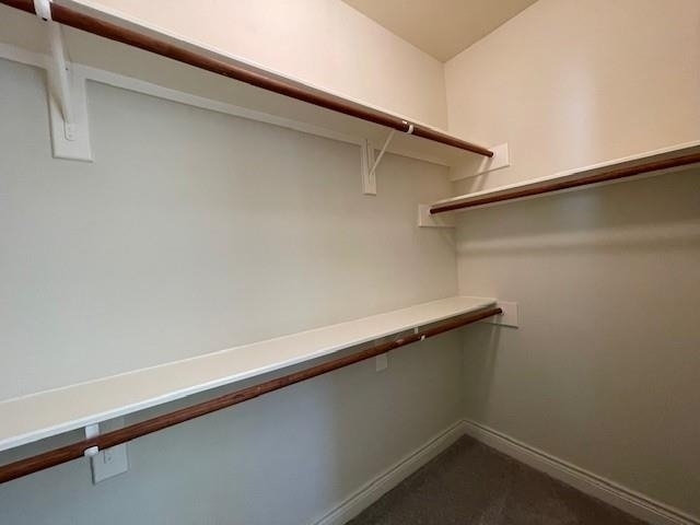 9103 Creekstone Lake Drive - Photo 29