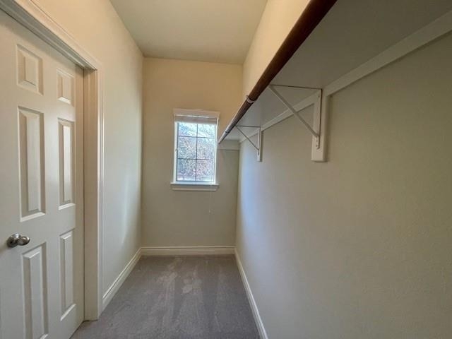 9103 Creekstone Lake Drive - Photo 21