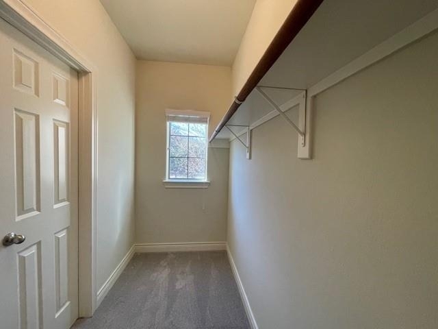 9103 Creekstone Lake Drive - Photo 30