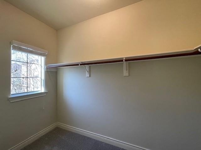 9103 Creekstone Lake Drive - Photo 22