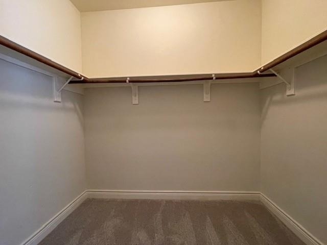 9103 Creekstone Lake Drive - Photo 34