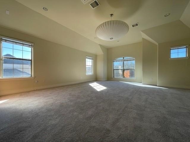 9103 Creekstone Lake Drive - Photo 37