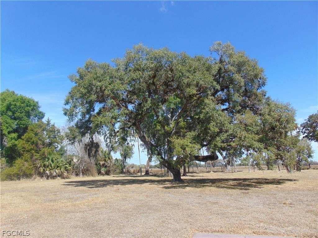 1092 Riverbend Drive - Photo 4