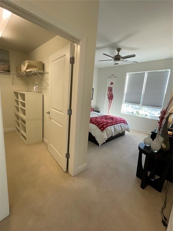 628 Cleveland Street - Photo 19