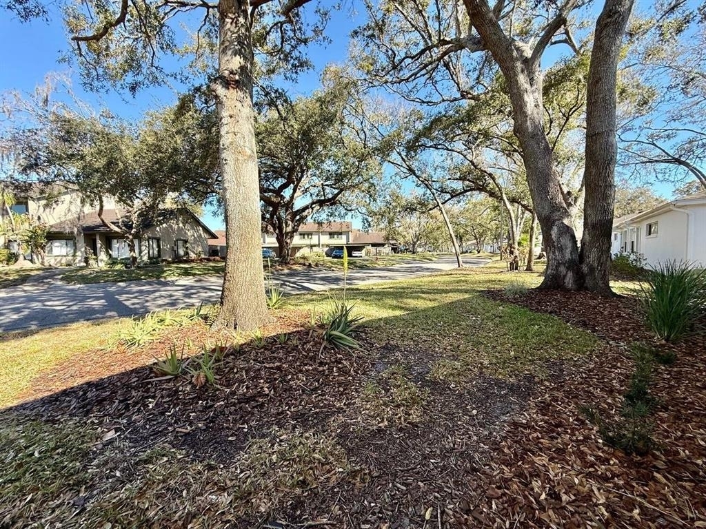 8530 Alexandra Arbor Lane - Photo 29