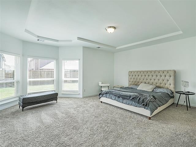 4408 Canadian River Drive - Photo 15