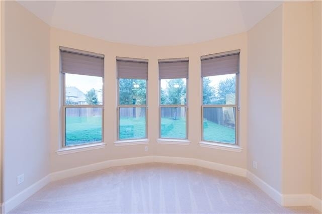 879 Grassy Shore Court - Photo 17