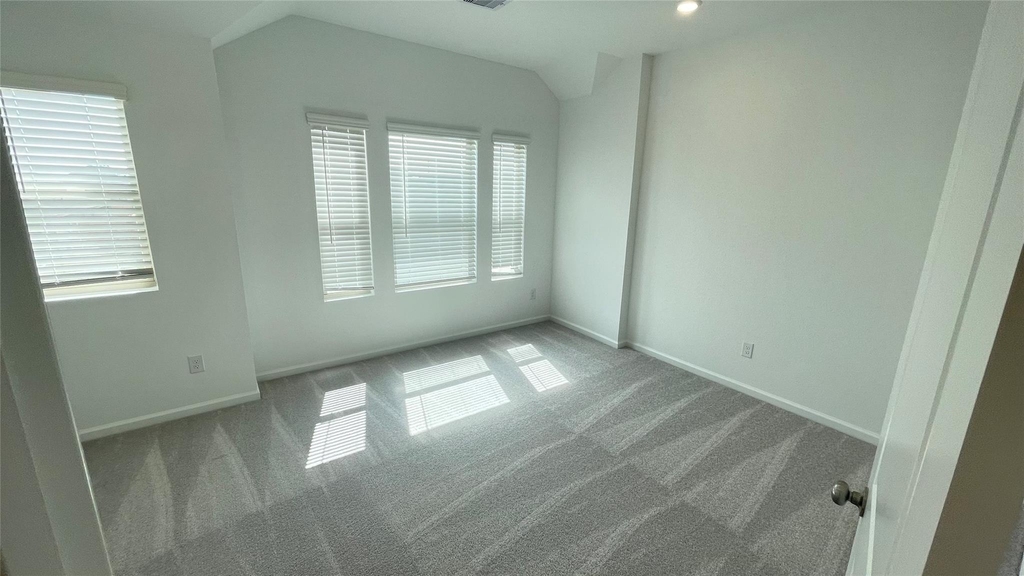 30310 Tall Fescue - Photo 13