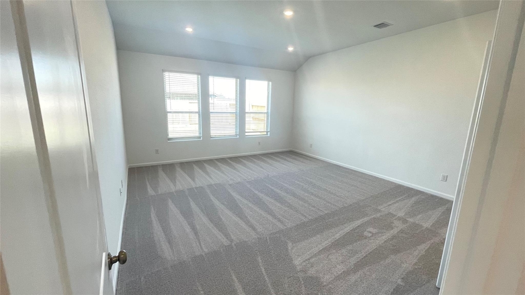 30310 Tall Fescue - Photo 24