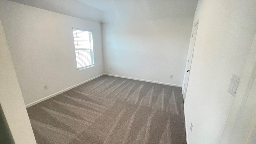 30310 Tall Fescue - Photo 15