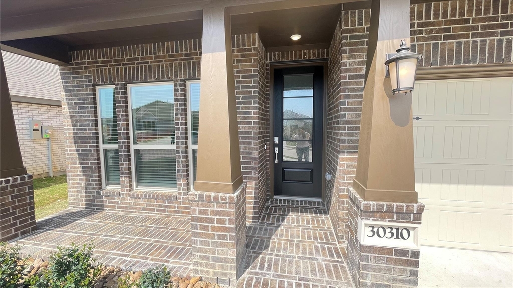 30310 Tall Fescue - Photo 1