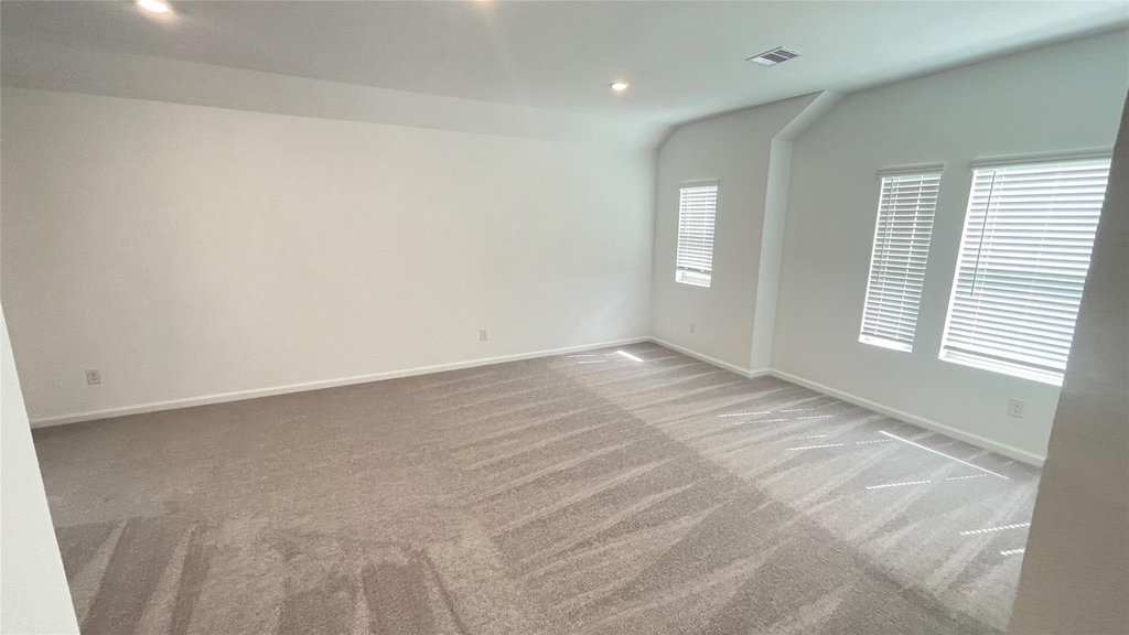 30310 Tall Fescue - Photo 16