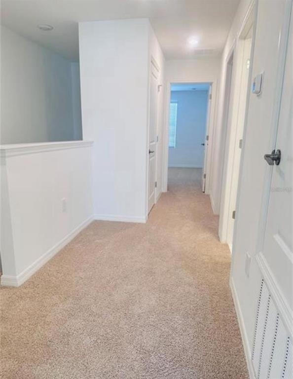 4512 Teoli Court - Photo 11