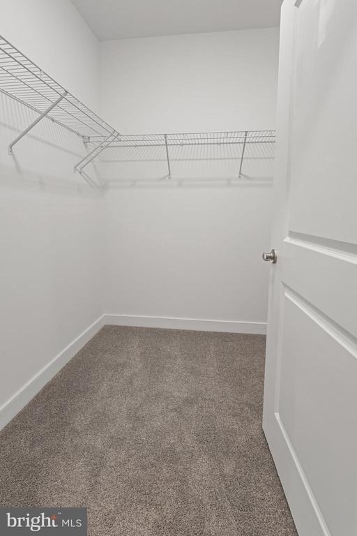21950 Garganey Terrace - Photo 26