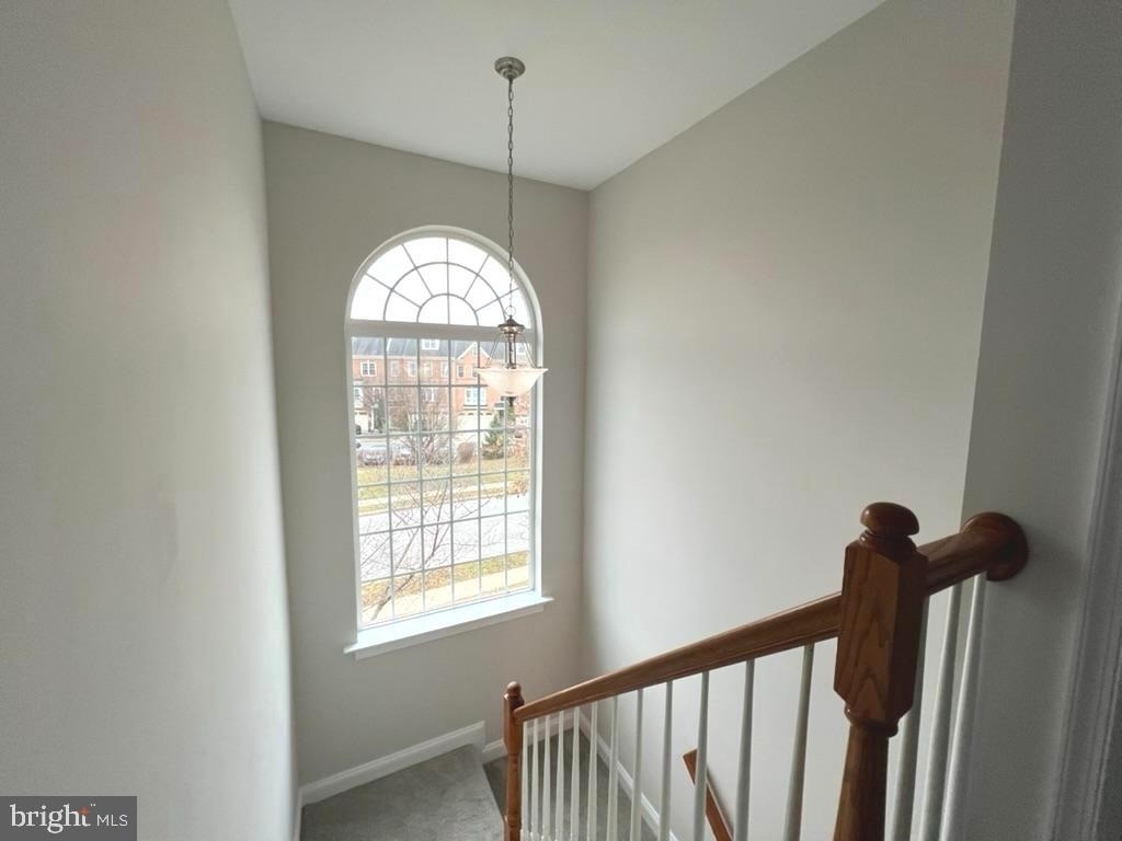 9854 Snow Bird Lane - Photo 22