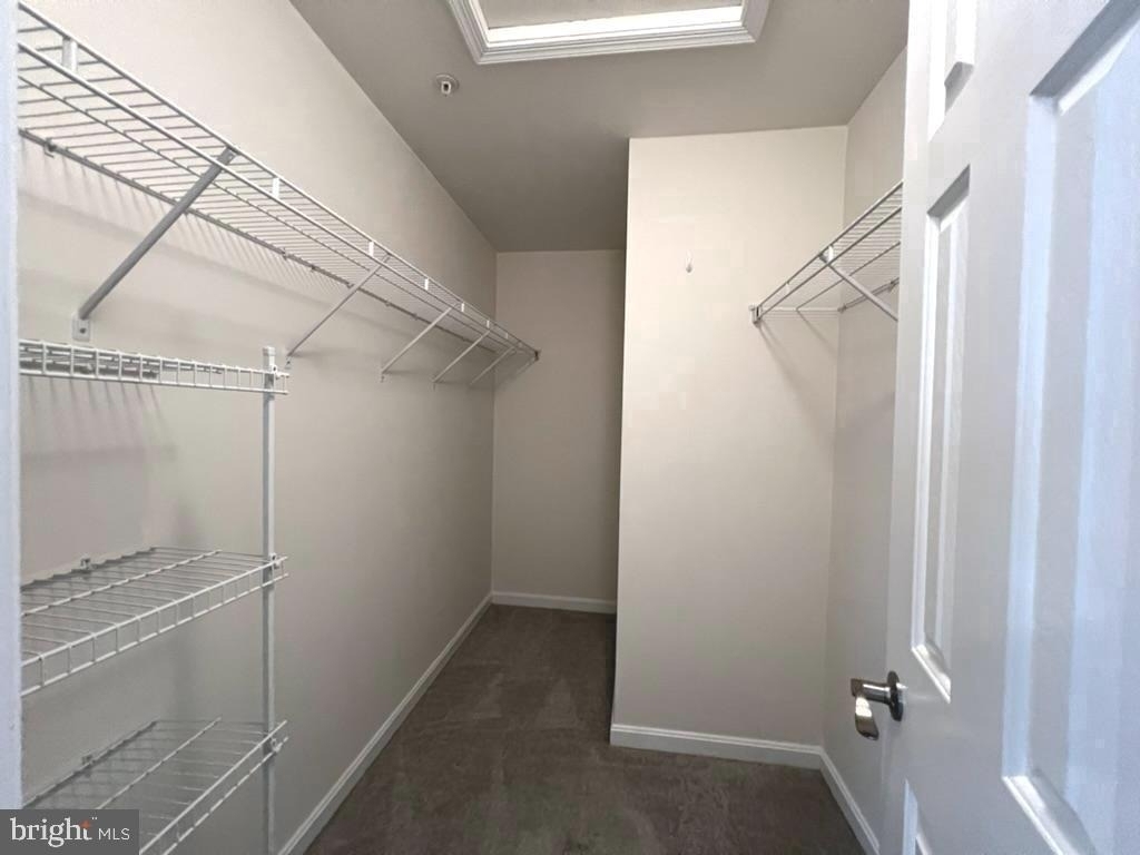 9854 Snow Bird Lane - Photo 14