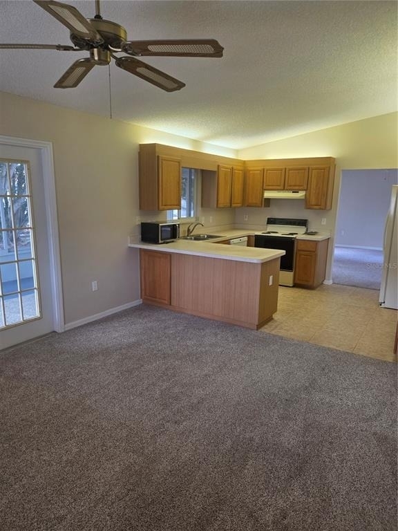 17582 Se 96th Court - Photo 3
