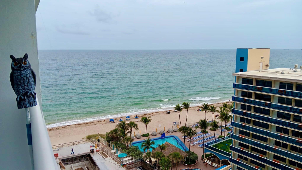 4100 Galt Ocean Drive - Photo 16