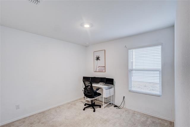 3505 Flicker Lane - Photo 22
