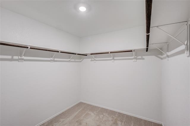 3505 Flicker Lane - Photo 18