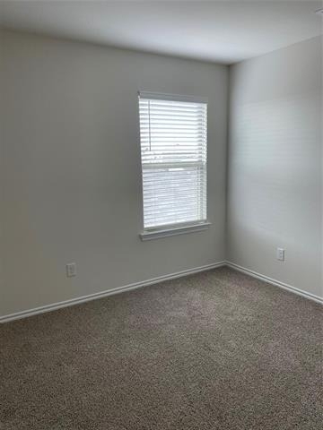 920 Sunrise Lane - Photo 13