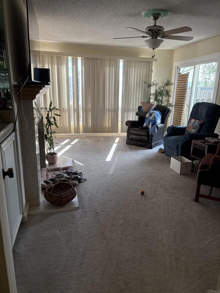 4193 Rueda Dr. - Photo 7