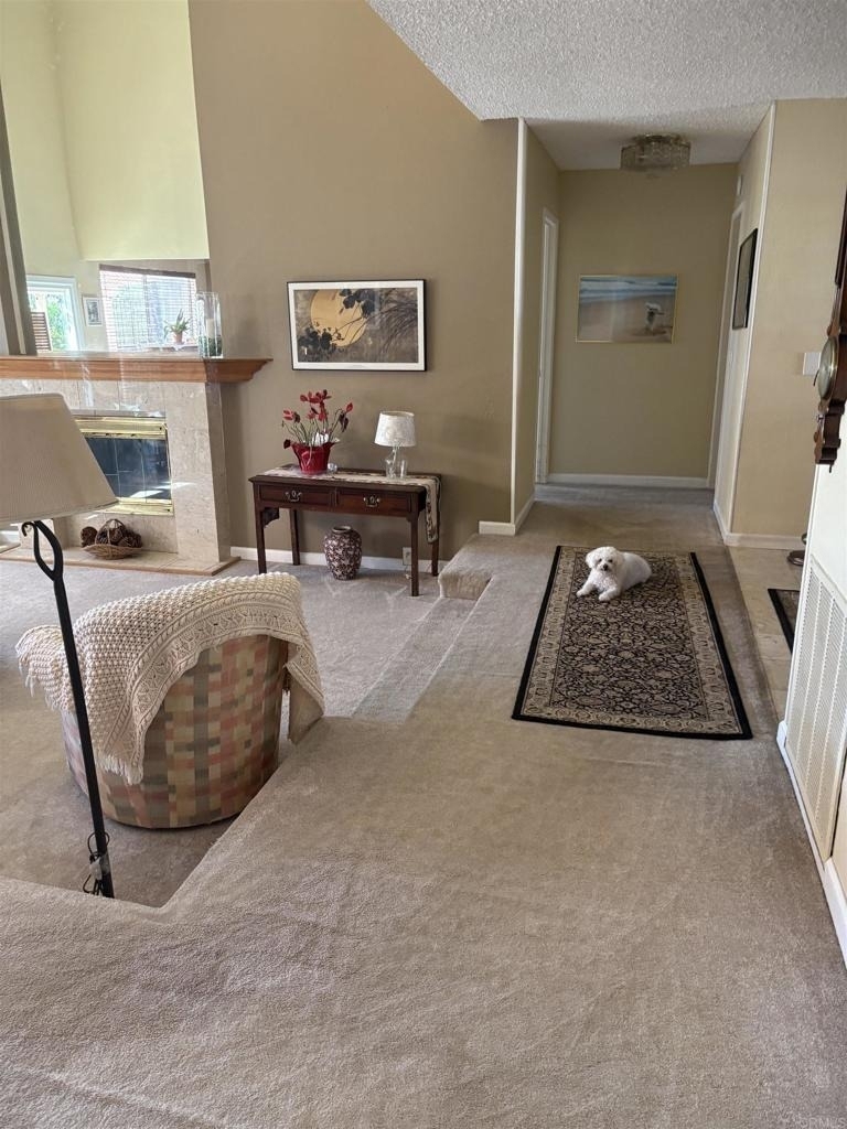 4193 Rueda Dr. - Photo 6
