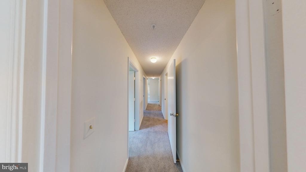 2806 Clear Shot Drive - Photo 7