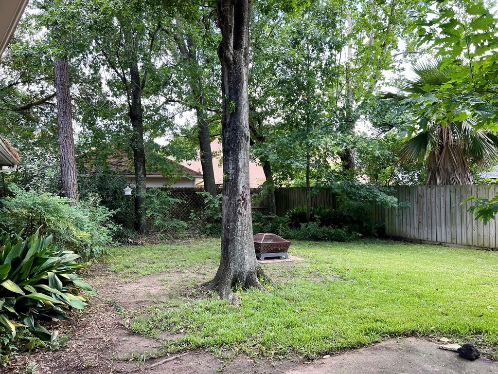 12803 Birch Falls Road - Photo 24