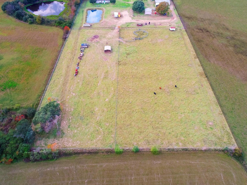 22234 Fields Store Road - Photo 4