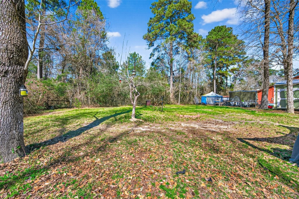 10391 Royal Magnolia Drive - Photo 2