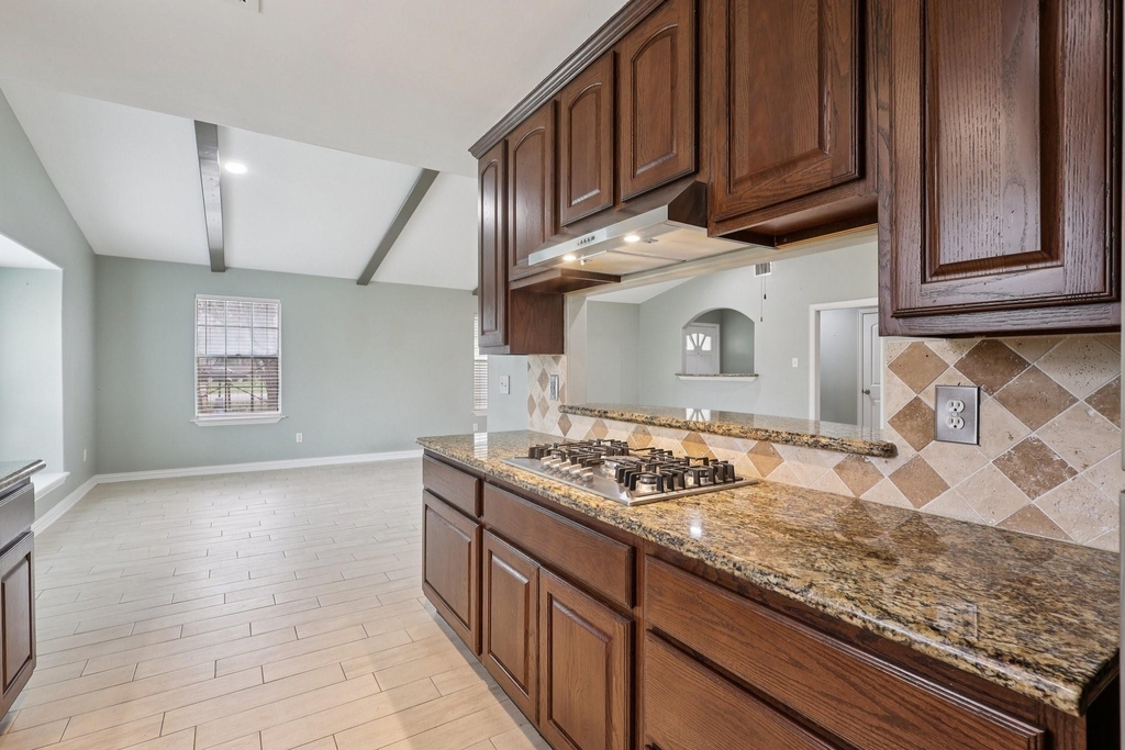 3919 Galway Lane - Photo 11