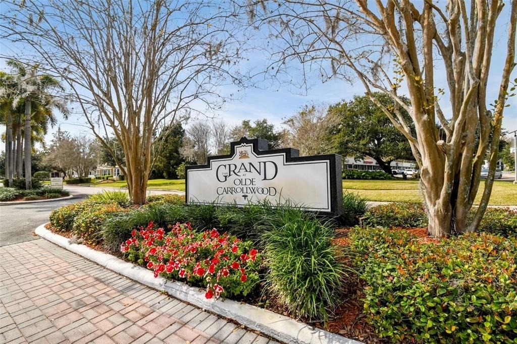 10375 Carrollwood Lane - Photo 32