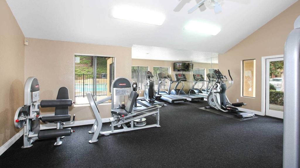 13316 Woodsorrel Road - Photo 30