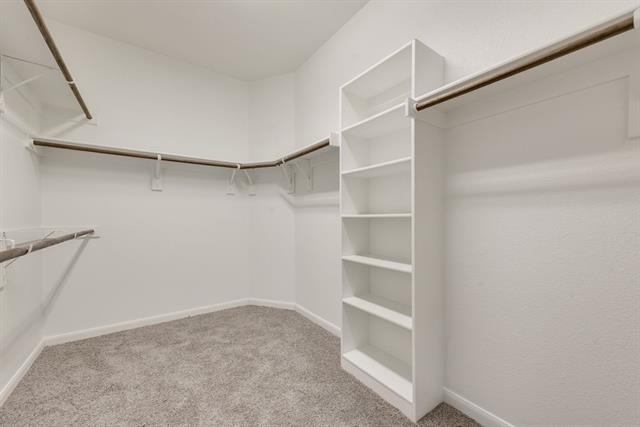 9245 Switchgrass Lane - Photo 16
