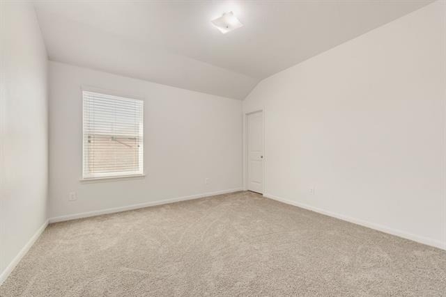 9245 Switchgrass Lane - Photo 19