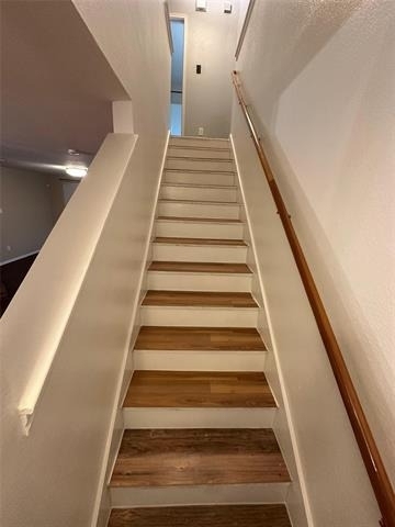 9233 Cheswick Drive - Photo 3