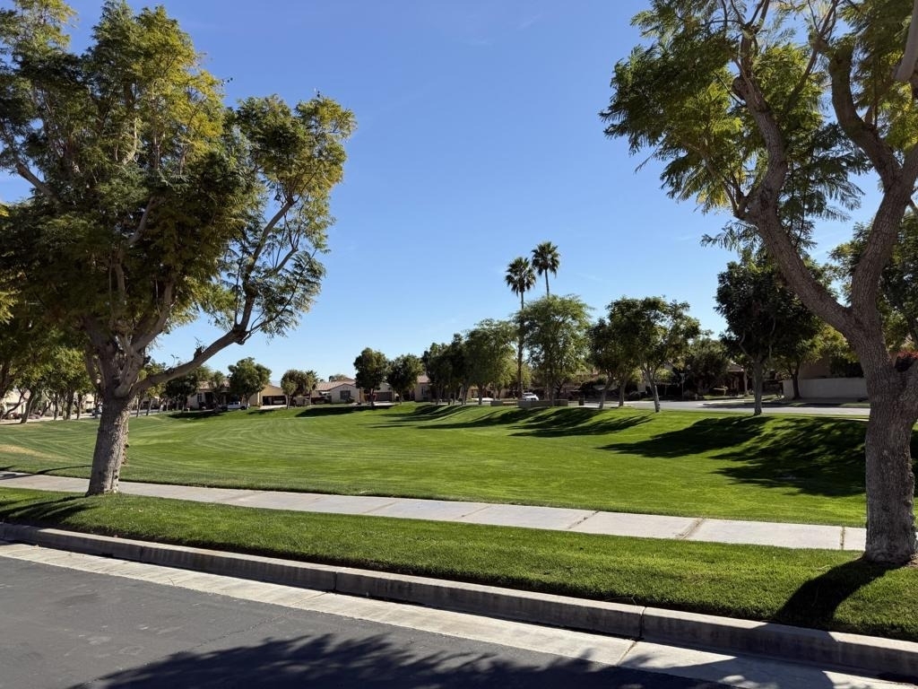 47780 Sumac Street - Photo 24